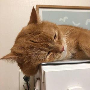 趁午休偷看女同学裙底内裤
